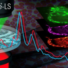 Multi-modal Widefield submicron IR (O-PTIR) imaging: Advances in Spatial Resolution, Sensitivity & Multi-modality (IR, Raman & Fluorescence)